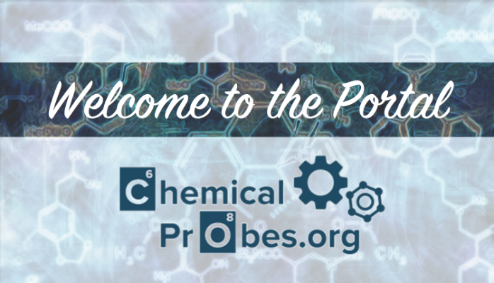 Best Practices for Chemical Probes
