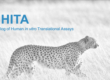 CHITA: Catalog of In Vitro Translational Assays